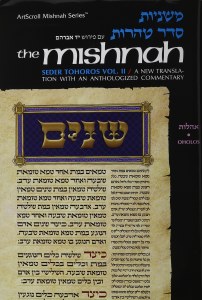 Yad Avrohom Mishnah Series 37 Tractate Oholos Complete (Seder Tohoros 2ab) [Hardcover]