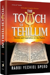 The Touch of Tehillim  [Hardcover]