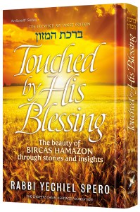 Touched by His Blessing [Hardcover]