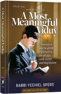 A Most Meaningful Viduy [Hardcover]