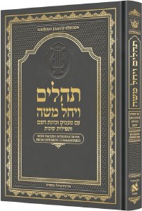 Artscroll Tehillim Large Type Hebrew Taamin and Kavanot Hashem Gray [Hardcover]