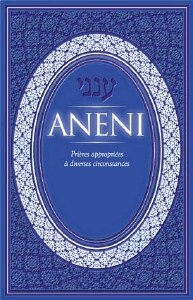 Aneni French Edition [Hardcover]