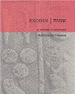 Exodus Shemos A Parsha Companion [Hardcover]
