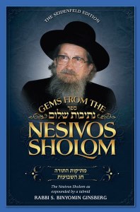 Gems from the Nesivos Shalom: Mesikus Hatorah & Chag Hashavuos [Hardcover]