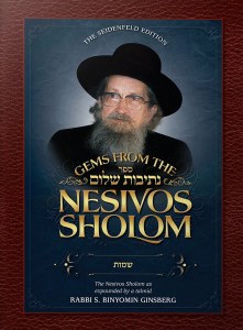 Gems from the Nesivos Sholom Bamidbar [Hardcover]