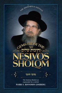 Gems from the Nesivos Shalom Nesivei Chinuch [Hardcover]