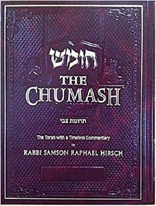 The Chumash Trumath Tzvi [Hardcover]