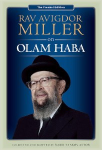 Rav Avigdor Miller on Olam Haba [Hardcover]