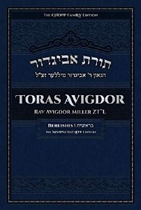 Toras Avigdor Volume 1 Bereishis [Hardcover]