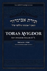 Toras Avigdor Volume 2 Shemos [Hardcover]