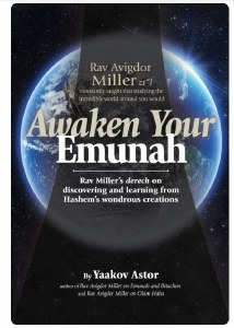 Awaken Your Emunah [Hardcover]