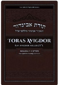 Toras Avigdor Moadim Volume 1 [Hardcover]
