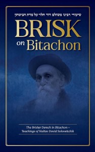 Brisk on Bitachon [Hardcover]