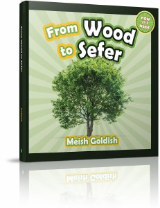 From Wood to Sefer [Hardcover]
