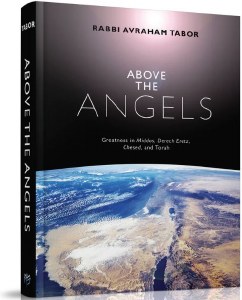 Above the Angels [Hardcover]