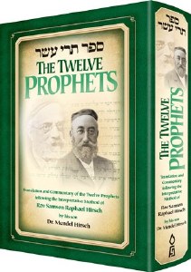 The Twelve Prophets (Trei Asar) [Hardcover]