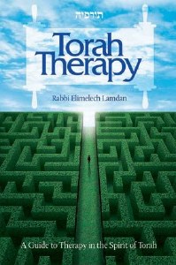 Torah Therapy [Paperback]