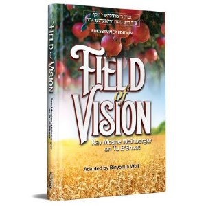 Field Of Vision [Hardcover]