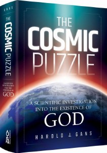 The Cosmic Puzzle [Paperback]