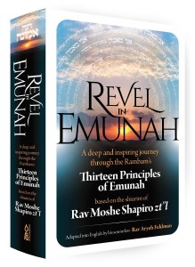 Revel In Emunah [Hardcover]