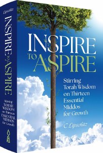 Inspire to Aspire [Hardcover]
