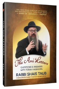 The Ami Letters [Hardcover]