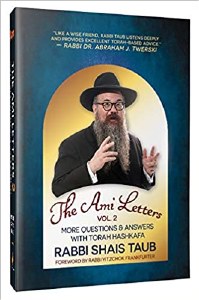 The Ami Letters Volume 2 [Hardcover]