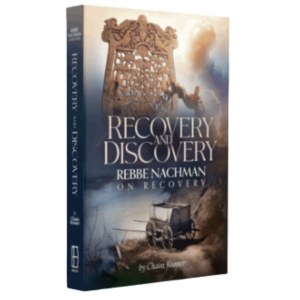 Recovery and Discovery [Paperback]