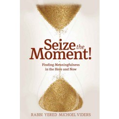 Seize the Moment [Hardcover]