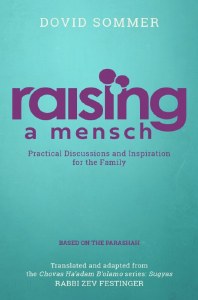 Raising A Mensch [Hardcover]