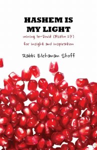 Hashem Is My Light [Paperback]