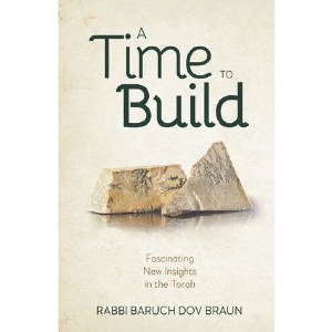 A Time to Build [Hardcover]