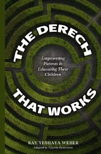 The Derech That Works [Hardcover]