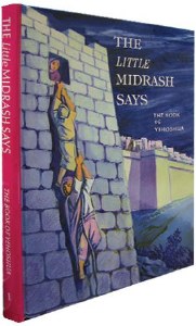 The Little Midrash Says: The Book of Yehoshua [Hardcover]