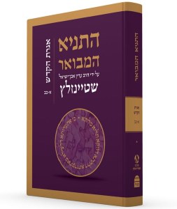 HaTanya HaMevoar Hebrew Volume 4 Igeres HaKodesh 1-22 [Hardcover]