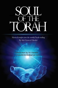 Soul of the Torah [Hardcover]