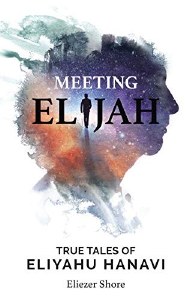 Meeting Elijah [Paperback]