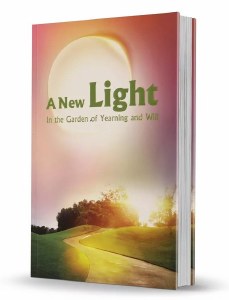 A New Light [Paperback]