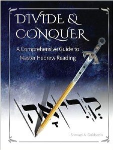 Divide and Conquer [Paperback]