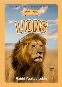 Perek Shira Series Lions DVD