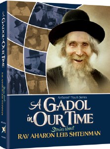 A Gadol in Our Time [Hardcover]