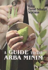 A Guide to the Arba Minim