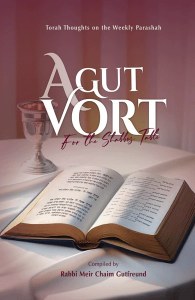 A Gut Vort for the Shabbos Table [Hardcover]