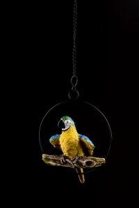 Parrot on Perch Hanging Sukkah Decoration
