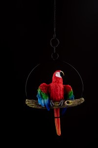 Parrot on Perch Large Hanging Sukkah Decoration