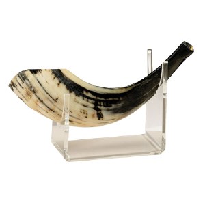 Acrylic Shofar Stand