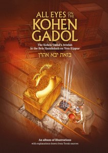 All Eyes on the Kohen Gadol [Hardcover]