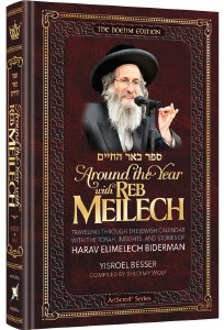 Around The Year With Reb Meilech [Hardcover]