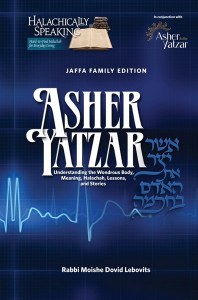 Asher Yatzar Understanding the Wondrous Body Meaning Halachah Lessons and Stories [Hardcover]