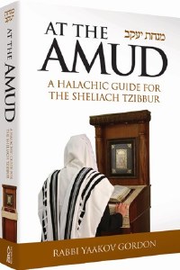 At the Amud [Hardcover]